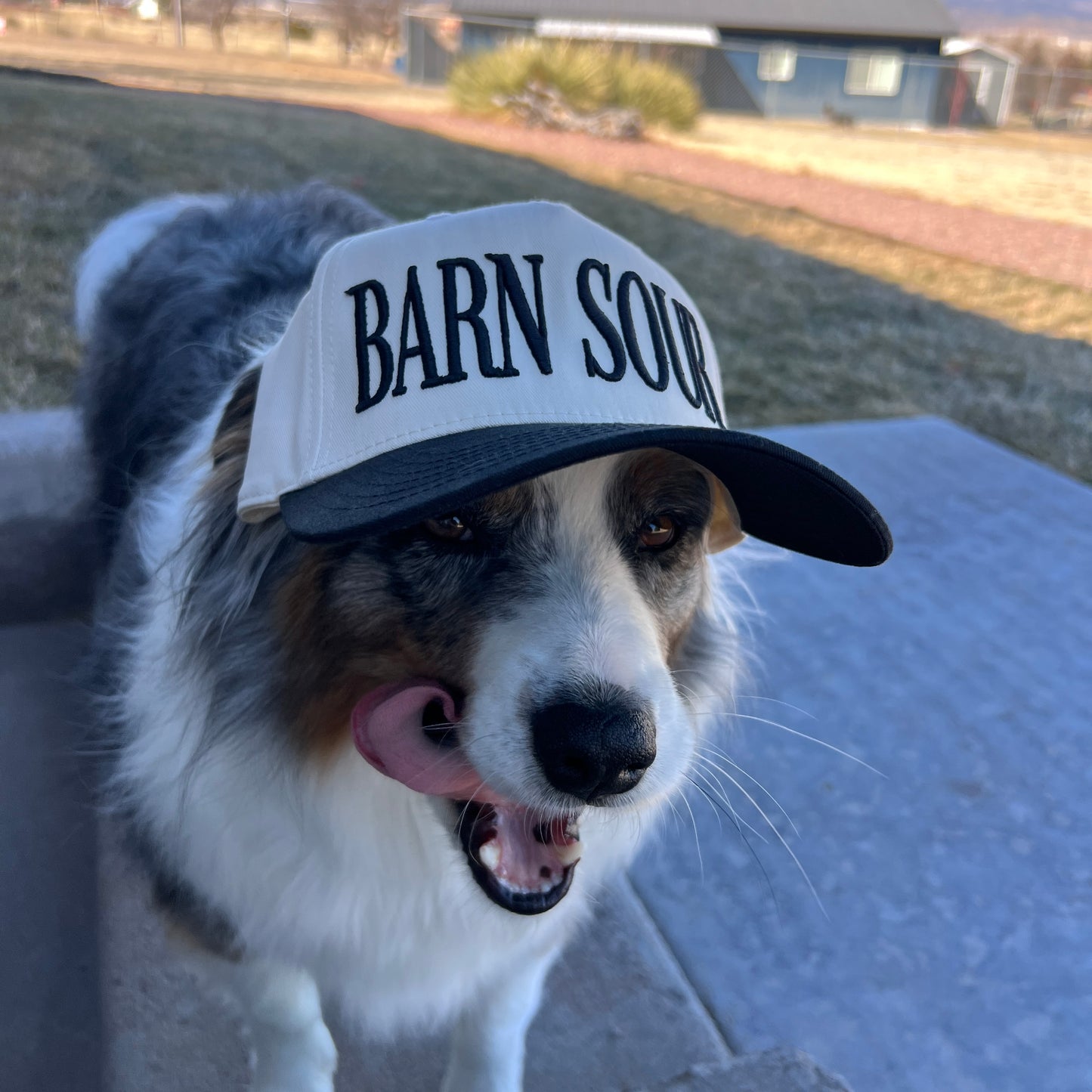 Barn Sour Canvas Hat
