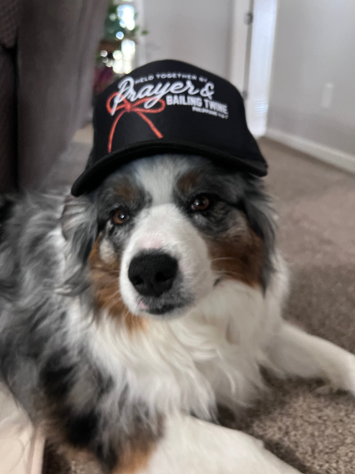 Held Together Hat
