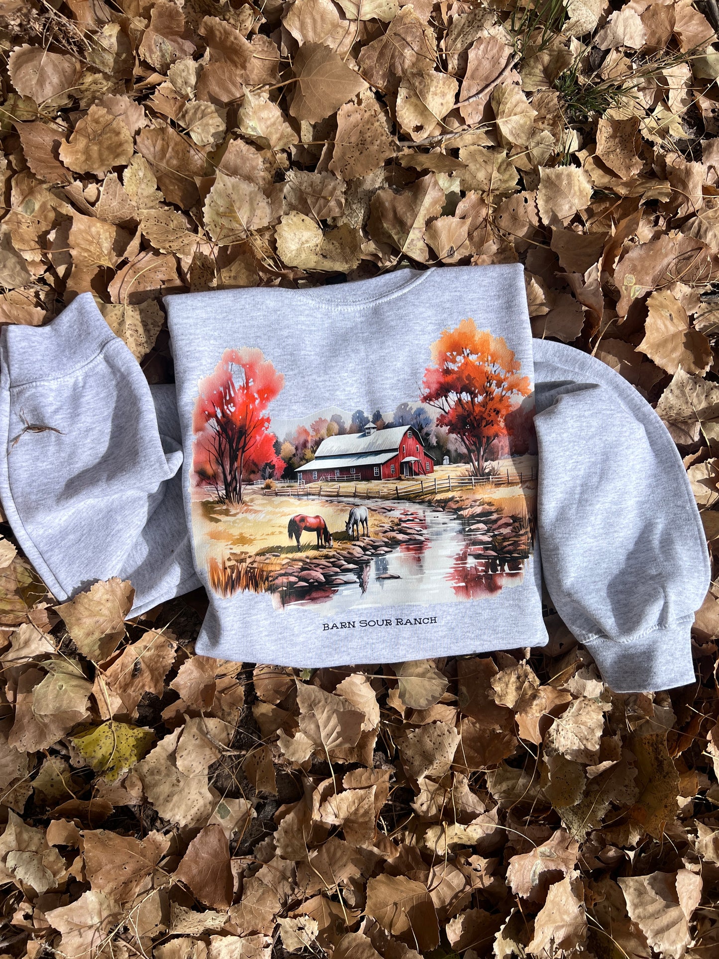 Fall At The Barn Pullover