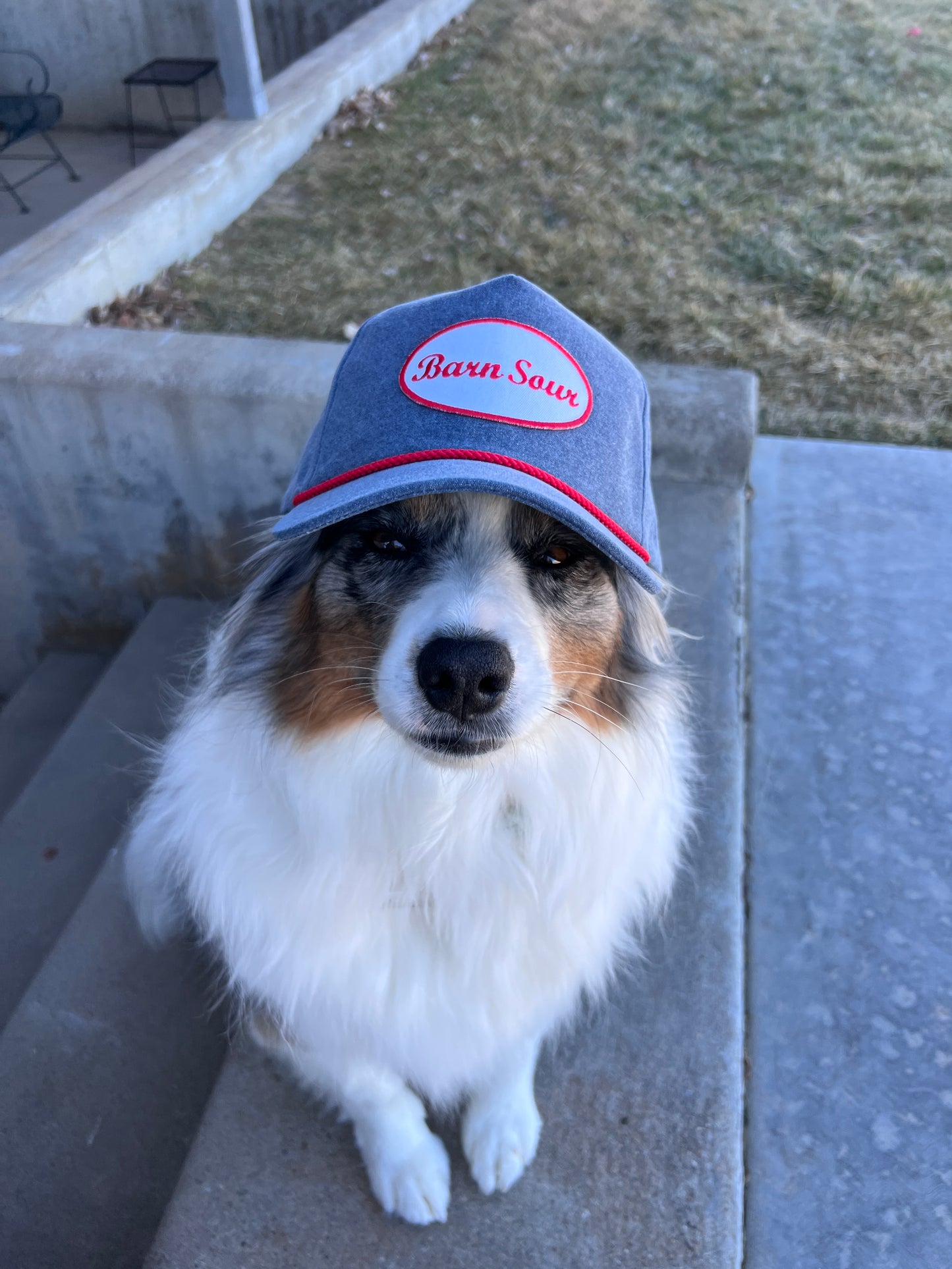 Barn Sour Patch Hat